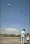 Kite flying, Bangkok